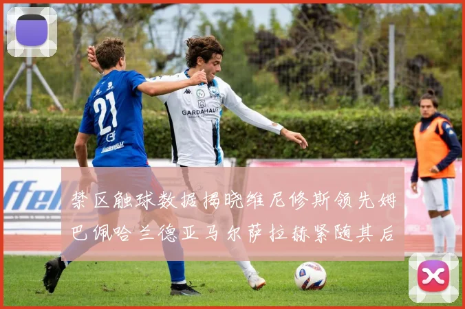 禁区触球数据揭晓维尼修斯领先姆巴佩哈兰德亚马尔萨拉赫紧随其后