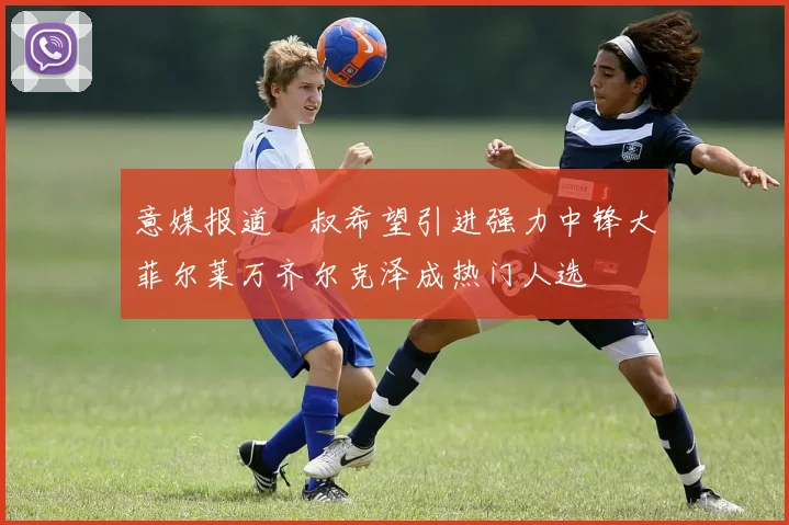 意媒报道囧叔希望引进强力中锋大菲尔莱万齐尔克泽成热门人选