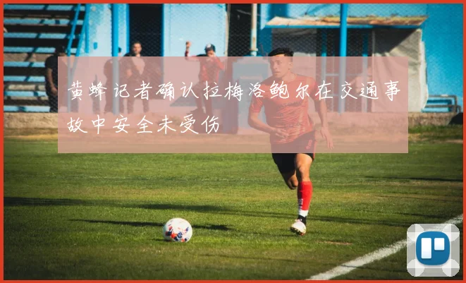 黄蜂记者确认拉梅洛鲍尔在交通事故中安全未受伤