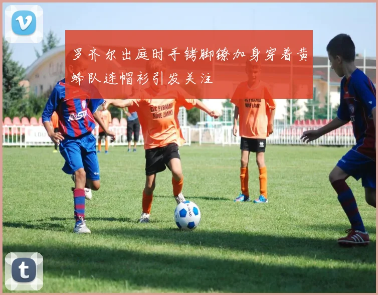 罗齐尔出庭时手铐脚镣加身穿着黄蜂队连帽衫引发关注