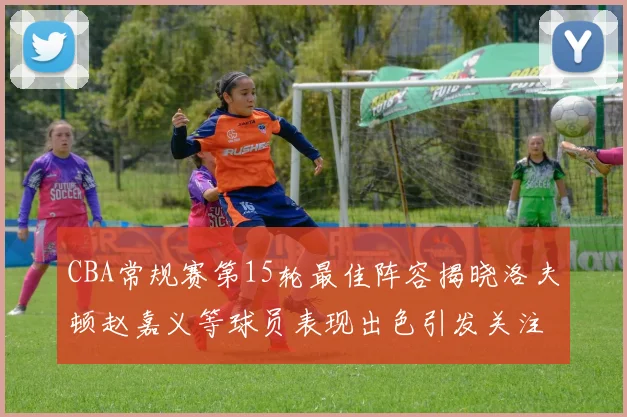 CBA常规赛第15轮最佳阵容揭晓洛夫顿赵嘉义等球员表现出色引发关注