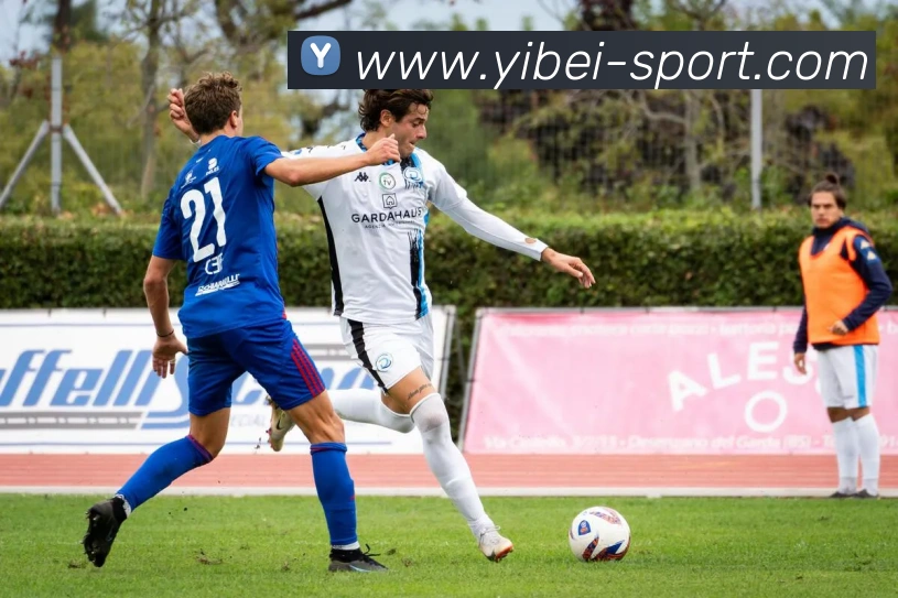 易倍体育发展历程